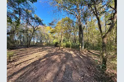 6155 Farm Road 3019, Winnsboro, TX 75494 - Photo 5