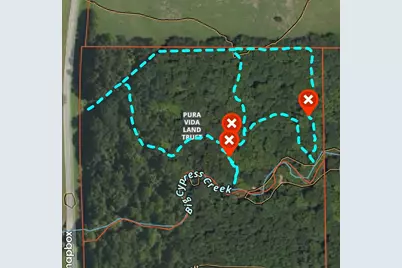 6155 Farm Road 3019, Winnsboro, TX 75494 - Photo 13