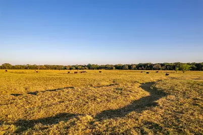 5081 154 Highway, Yantis, TX 75497 - Photo 21