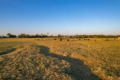 5081 154 Highway, Yantis, TX 75497 - Photo 11