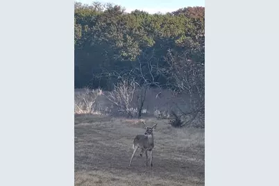 198 Fort Graham Road, Whitney, TX 76692 - Photo 25