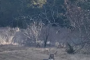 198 Fort Graham Rd, Whitney, TX 76692 - Photo 25