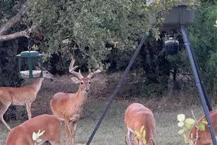 1025 Bermes Ct, Weatherford, TX 76087 - Photo 37