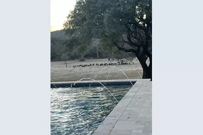 6231 Fm-919, Gordon, TX 76453 - Photo 25