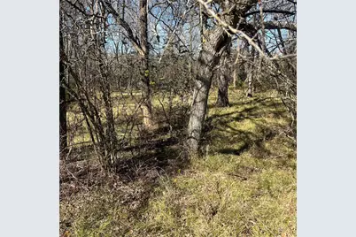 Tbd Tx-154, Sulphur Springs, TX 75482 - Photo 5