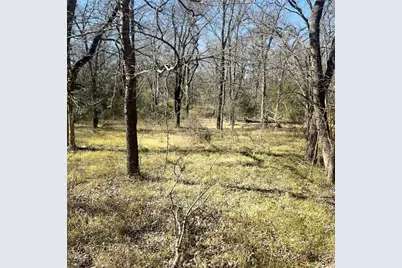 Tbd Tx-154, Sulphur Springs, TX 75482 - Photo 3