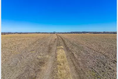 10517 County Road 418, Grandview, TX 76050 - Photo 11