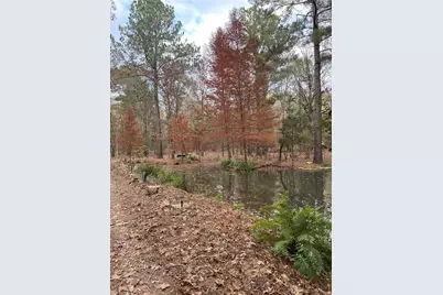 0000 Cr 3450, Hawkins, TX 75765 - Photo 3