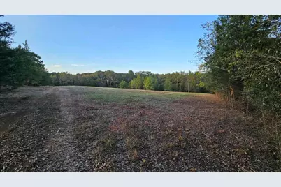 2162 County Road 174 E, Overton, TX 75684 - Photo 19