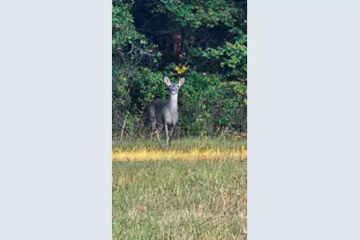 2162 County Road 174 E, Overton, TX 75684 - Photo 25