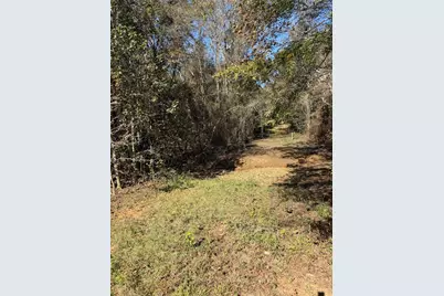 2162 County Road 174 E, Overton, TX 75684 - Photo 23