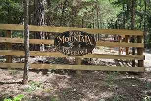 Tbd An County Road 314, Frankston, TX 75763 - Photo 21