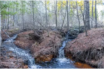 Tbd An County Road 314, Frankston, TX 75763 - Photo 29