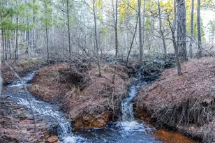 Tbd An County Road 314, Frankston, TX 75763 - Photo 29