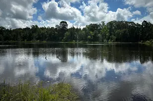 Tbd An County Road 314, Frankston, TX 75763 - Photo 13