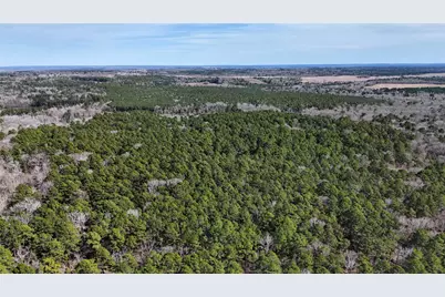 Tbd An County Road 314, Frankston, TX 75763 - Photo 9