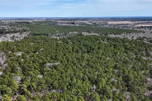 Tbd An County Road 314, Frankston, TX 75763 - Photo 9