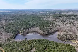 Tbd An County Road 314, Frankston, TX 75763 - Photo 5