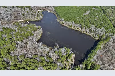 Tbd An County Road 314, Frankston, TX 75763 - Photo 11