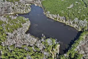 Tbd An County Road 314, Frankston, TX 75763 - Photo 11