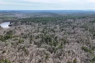 Tbd An County Road 314, Frankston, TX 75763 - Photo 7