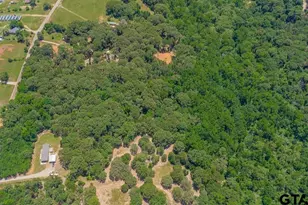 20143 C County Road 450, Lindale, TX 75771 - Photo 35