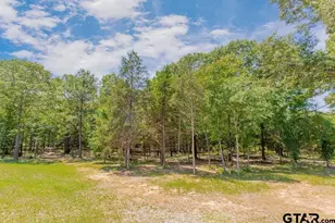 20143 C County Road 450, Lindale, TX 75771 - Photo 39