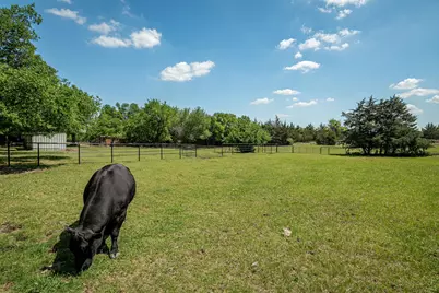 14392 State Highway 78 N, Blue Ridge, TX 75424 - Photo 35