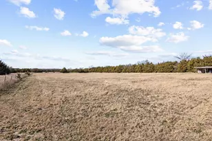 5777 State Hwy 160, Whitewright, TX 75491 - Photo 9