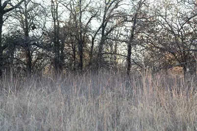 Tbd E Fm 2210 Highway, Perrin, TX 76486 - Photo 7