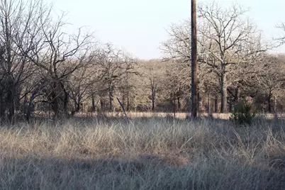 Tbd E Fm 2210 Highway, Perrin, TX 76486 - Photo 5