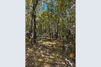 Tbd E Fm 2210 Highway, Perrin, TX 76486 - Photo 17