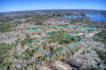 Tbd County Road 3460, Hawkins, TX 75765 - Photo 1