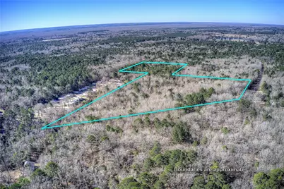 Tbd County Road 3460, Hawkins, TX 75765 - Photo 5