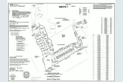 Tbd Cr 2030 Lot 8, Glen Rose, TX 76043 - Photo 3