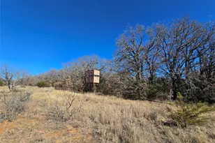 721 Co Rd 335, Ranger, TX 76470 - Photo 33