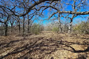 721 Co Rd 335, Ranger, TX 76470 - Photo 25