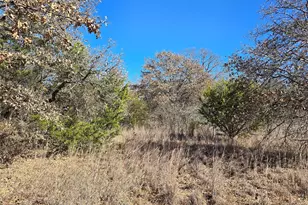 721 Co Rd 335, Ranger, TX 76470 - Photo 37