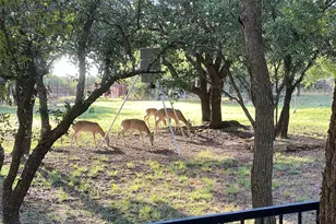 106 Manor Ct N, Willow Park, TX 76087 - Photo 37