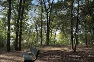 1204 Yellowthroat Dr, Little Elm, TX 75068 - Photo 33