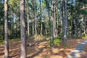 637 Co Rd 4420, Winnsboro, TX 75494 - Photo 35