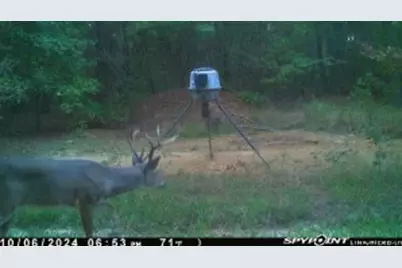 637 County Road 4420, Winnsboro, TX 75494 - Photo 37
