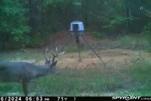 637 Co Rd 4420, Winnsboro, TX 75494 - Photo 37