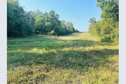 637 County Road 4420, Winnsboro, TX 75494 - Photo 33