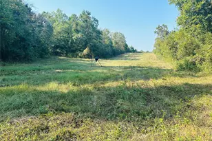 637 Co Rd 4420, Winnsboro, TX 75494 - Photo 33