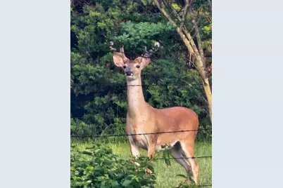 120 County Road 1230, Fairfield, TX 75840 - Photo 23