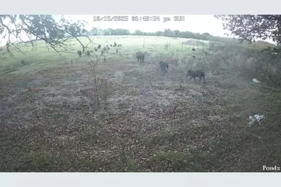 1992 County Road 2100, Cooper, TX 75432 - Photo 11