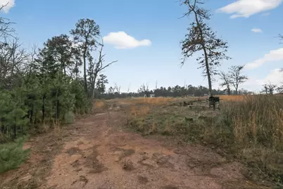 868 County Road 2920, Alba, TX 75410 - Photo 23