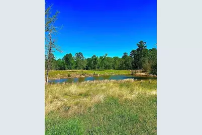 868 County Road 2920, Alba, TX 75410 - Photo 1