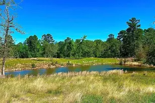 868 Co Rd 2920, Alba, TX 75410 - Photo 1